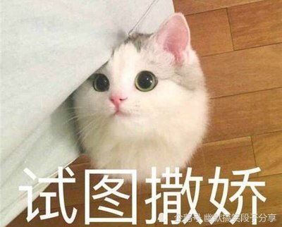 爆笑段子一朋友离家出走,跟别人借了钱在网吧过了几天