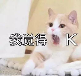 猫咪表情包合集我不和你天下第一好了