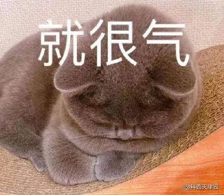 一大波高温天临近这个双面小恶魔也来了