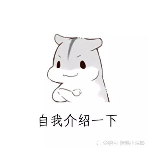 仓鼠表情包老婆,我们回去睡觉觉