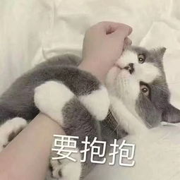 哪一刻觉得读书无用