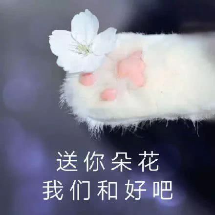 可爱鬼常用的朋友圈说说文案