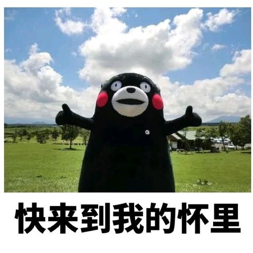 熊本熊家乡的国立大学熊本大学