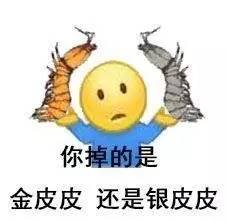 普京听说我在中国成了网红被刷屏的皮皮虾我们走又是什么梗