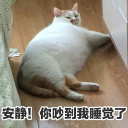 张含韵为赵丽颖送生日祝福被喷秒删微博配图究竟怎么了