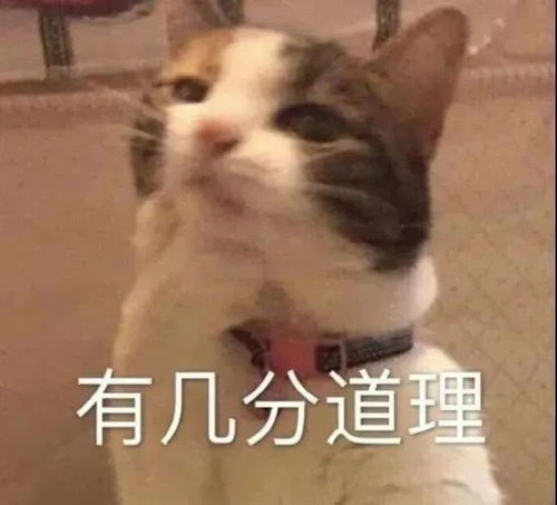 沙雕表情快递怎么还没到啊腾讯新闻