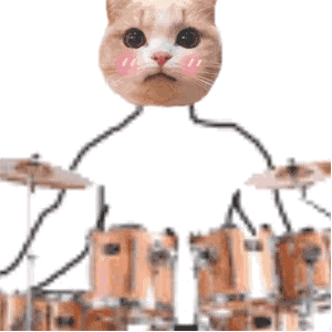 沙雕猫gif图片沙雕猫拉乐器动态表情包下载乐游网游戏下载