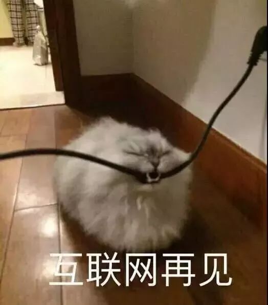 为什么是上厕所下厨房