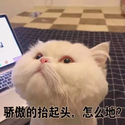 包包大突袭我翻开同事的包,发现她竟然成了秃头少女