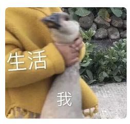 卖爆了你和张柏芝之间就差一个断货王vn防晒霜