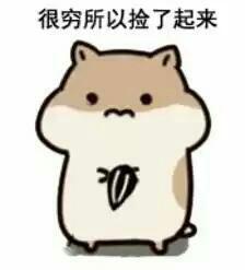仓鼠掉瓜子表情包