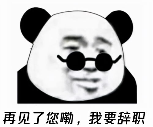 恒锐法律找工作先整容,还没奋斗就已背上巨额贷款