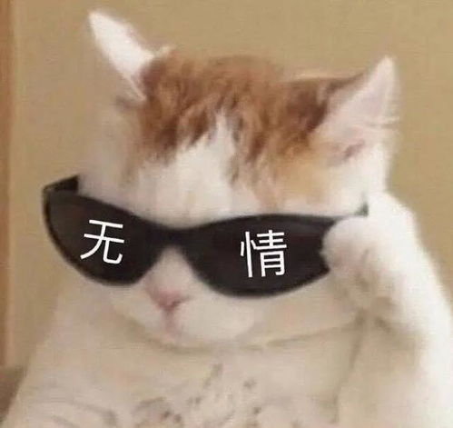 这部宝藏剧有颜有笑点