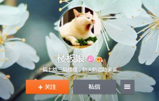 这只猫叫什么名字啊好想很火绰号也行想搜集一些这只猫的表情包