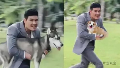 嘎子,你投资八亿的电影,真的好烂