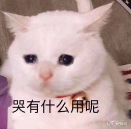 姐弟恋真的不能接受吗