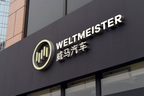 威马汽车为什么玩不转科技普惠