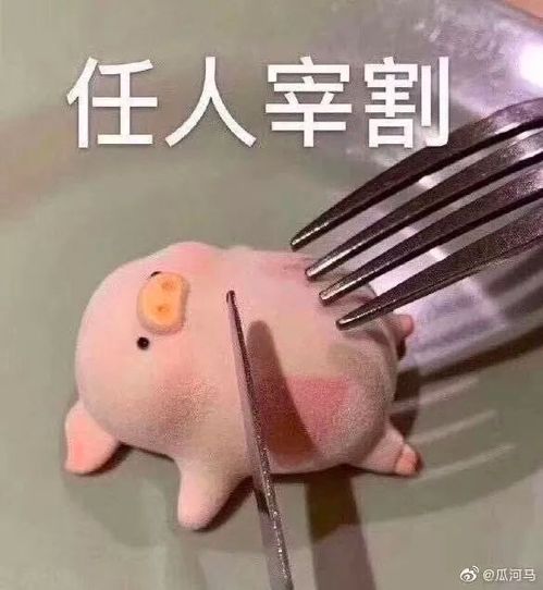 媒人扫丨pepa我嗑了对家x我的cp与饭圈脱节的饭圈体