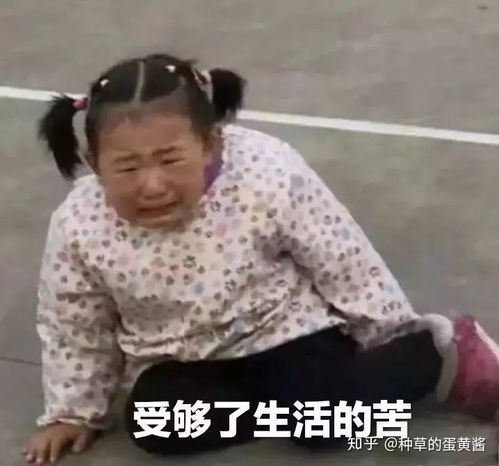 表情包大户