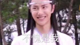 王甜甜的沙雕表情包合集,我的快乐源泉