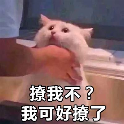 撩汉表情包来了,百试百灵快抱走