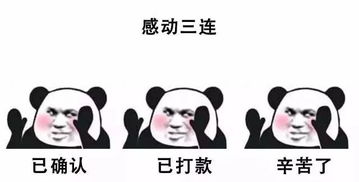 千年舟木门三连火了,不知道你就out了
