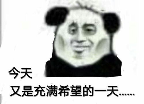 还有十几天就要考初级了,看有人推荐南文文核心800题,这个是真的有用吗,在哪里可以买到呢