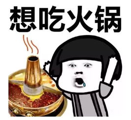 林卡尔备孕男宝想要快速好孕,先要满足4个条件影响
