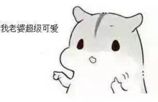 哄老婆表情包大全老婆大人对不起好喜欢老婆我老婆超级可爱
