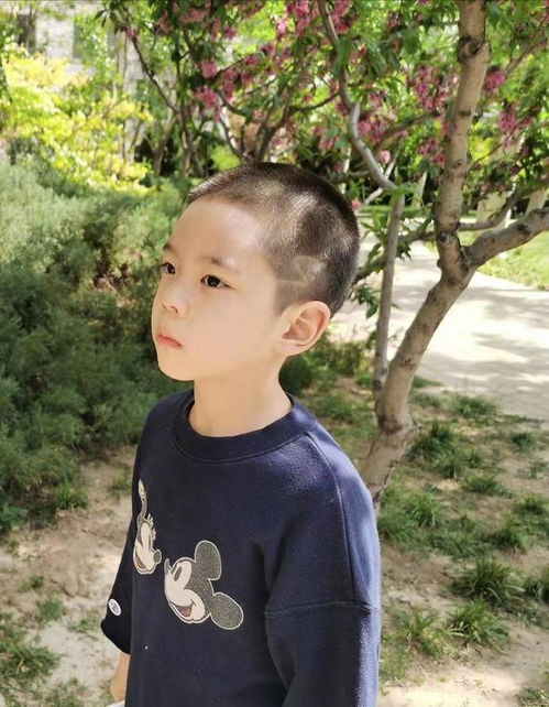 被吐槽颜值的嗯哼酷似李现杜江发博被指蹭热度,网友谁蹭谁