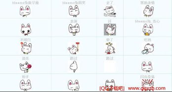 跪求meemo兔兔表情包兔斯基表情包完整版