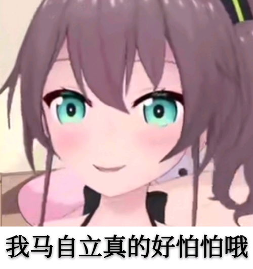 hololivevtubers自制表情包奇怪的表情包增加了,另外携带部分私货