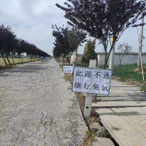 搞笑gif.其实吧女人打架比我们男人还要凶猛