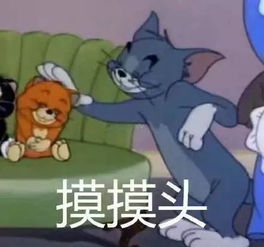 20考研的你真的报名成功了吗怎么查考场什么时候网报确认