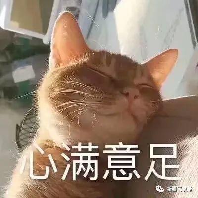 暴雨雷电预警中到大雨雷电冰雹沙尘暴冷空气来势汹汹乌鲁木齐中雨提示