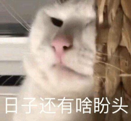 微信表情包缩小怎么弄鱼爪网
