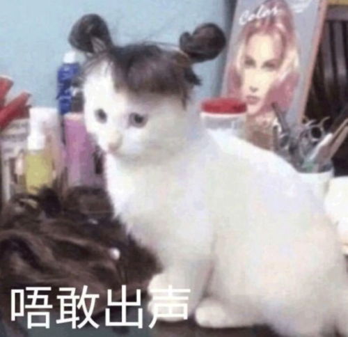 我这些年花掉的冤枉钱,都能在深圳买套房