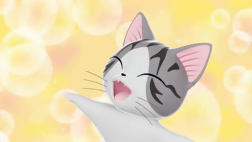 甜甜私房猫超级萌的小奇,大黑非常的喜欢哦