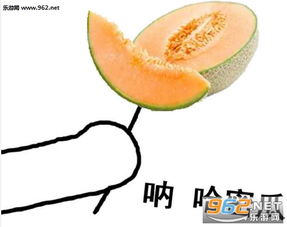 很杂的一些表情包