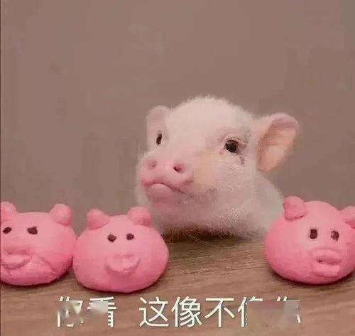 当代人为了脱单可以有多努力遇到帅哥,主动加联系方式哈哈哈