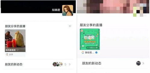 公众号表情包内测