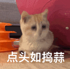 能让猫咪垂危时捡回一条命的人工呼吸和心脏复苏,务必收藏