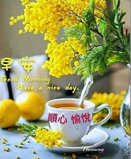 新版冬天早安问候祝福语动态表情图片微信群发漂亮早上好鲜花图片动态表情