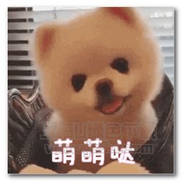 jz5u绿色下载站一键转帖到论坛ubb代码
