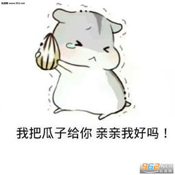 表情包可爱仓鼠句子