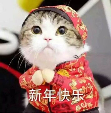 新年快乐表情包新年快乐微信表情包新年快乐qq表情包发表情fabiaoqing.com
