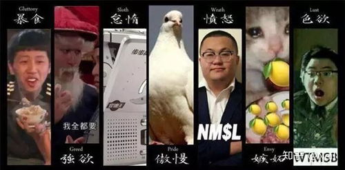 为什么沙雕熊猫可以在众多表情包中脱颖而出