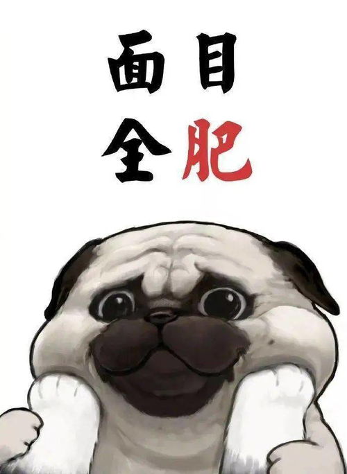 转场不下线,变新不变心