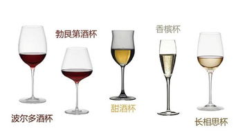 三品红酒教你认识最全的葡萄酒杯,建议收藏