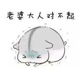 哄老婆专用仓鼠表情包合集老婆大人对不起